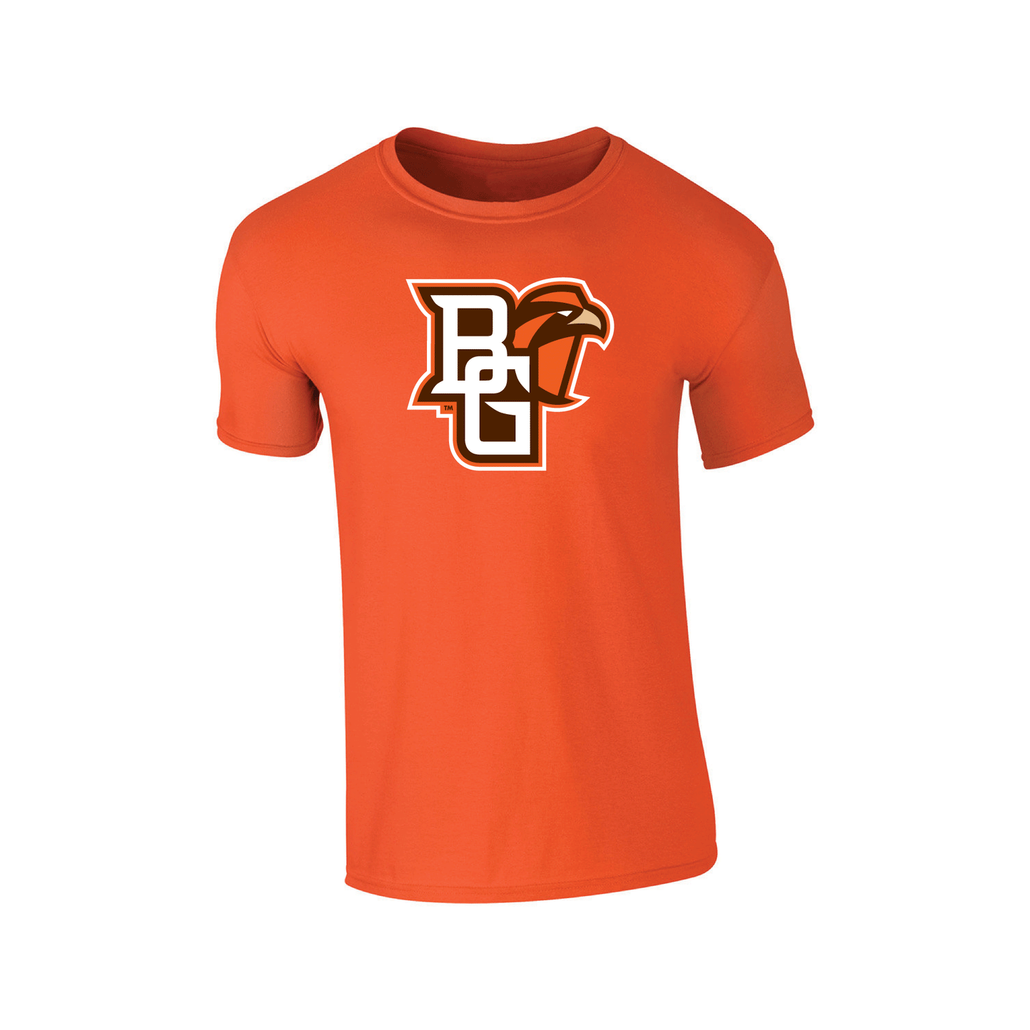 Bowling Green State University Falcons Large Logo