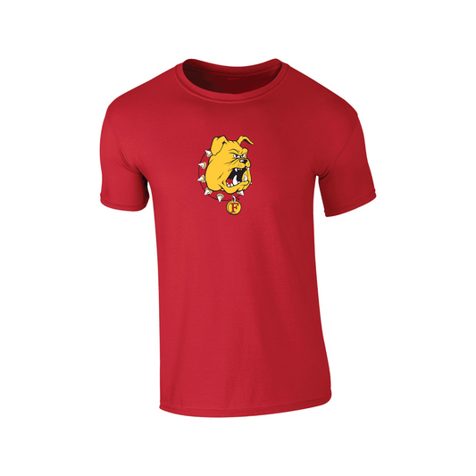 Ferris State University Bulldogs Large Logo
