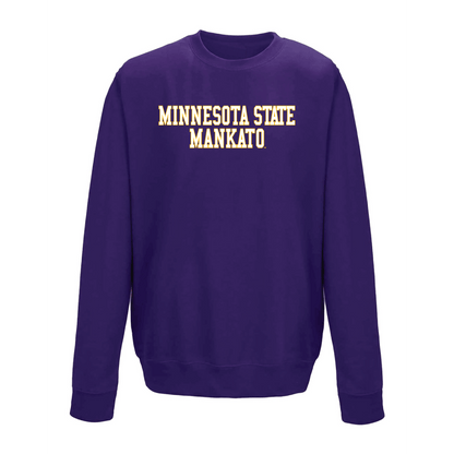 Minnesota State University Mavericks Block