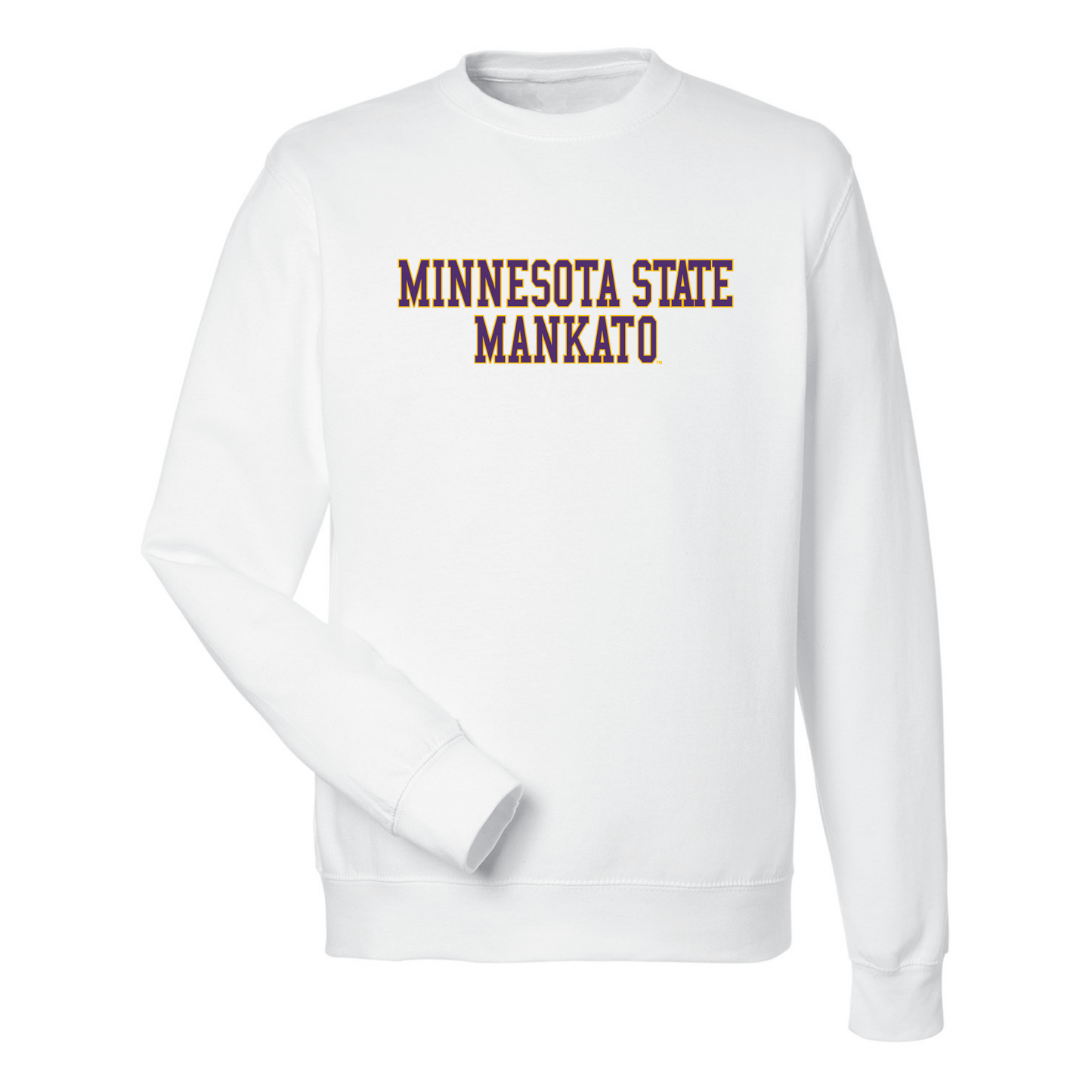 Minnesota State University Mavericks Block