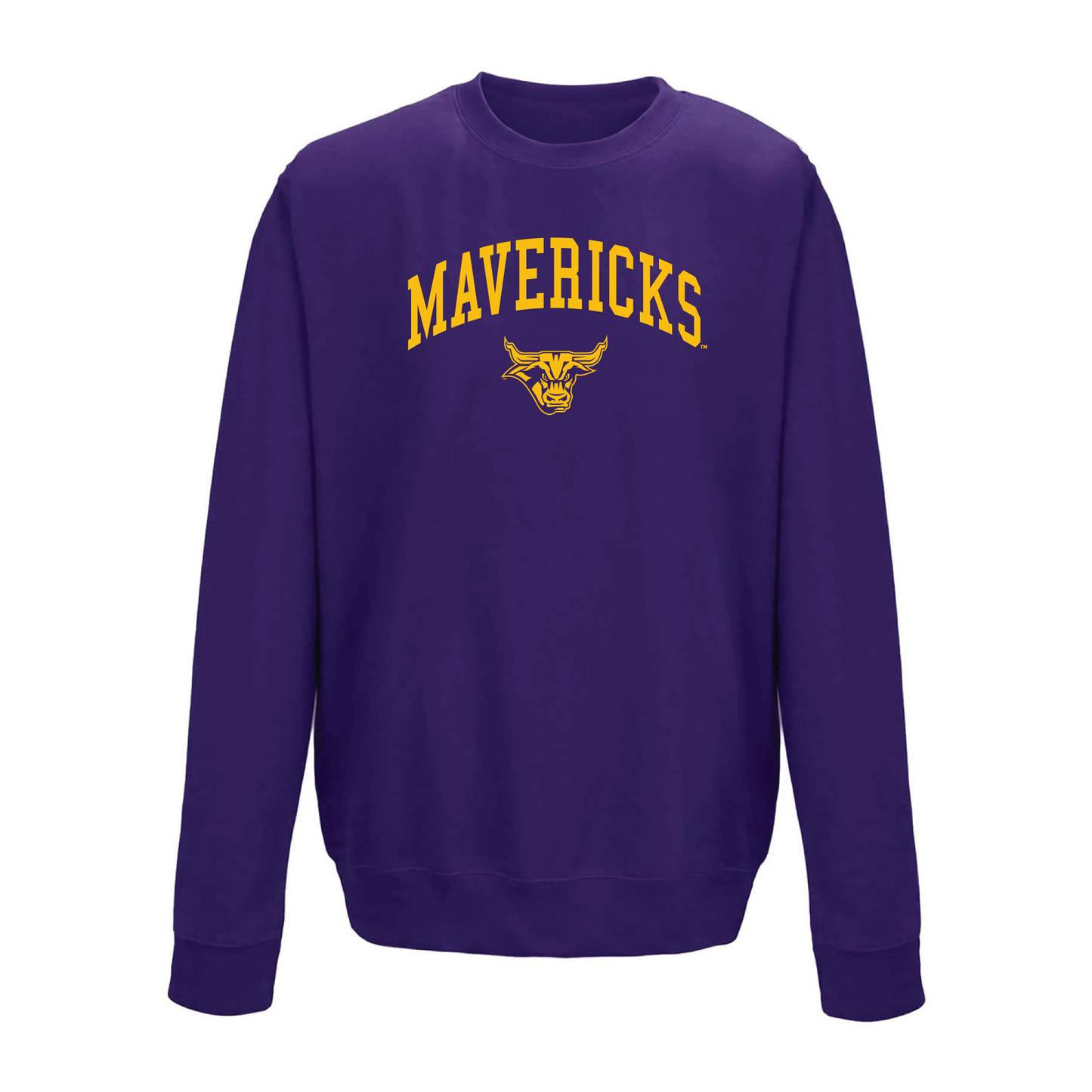 Minnesota State University Mavericks Jumbo Arch