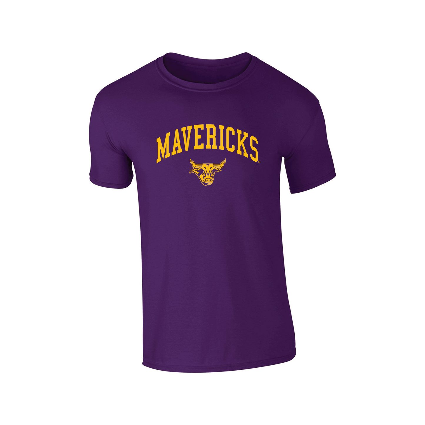 Minnesota State University Mavericks Jumbo Arch