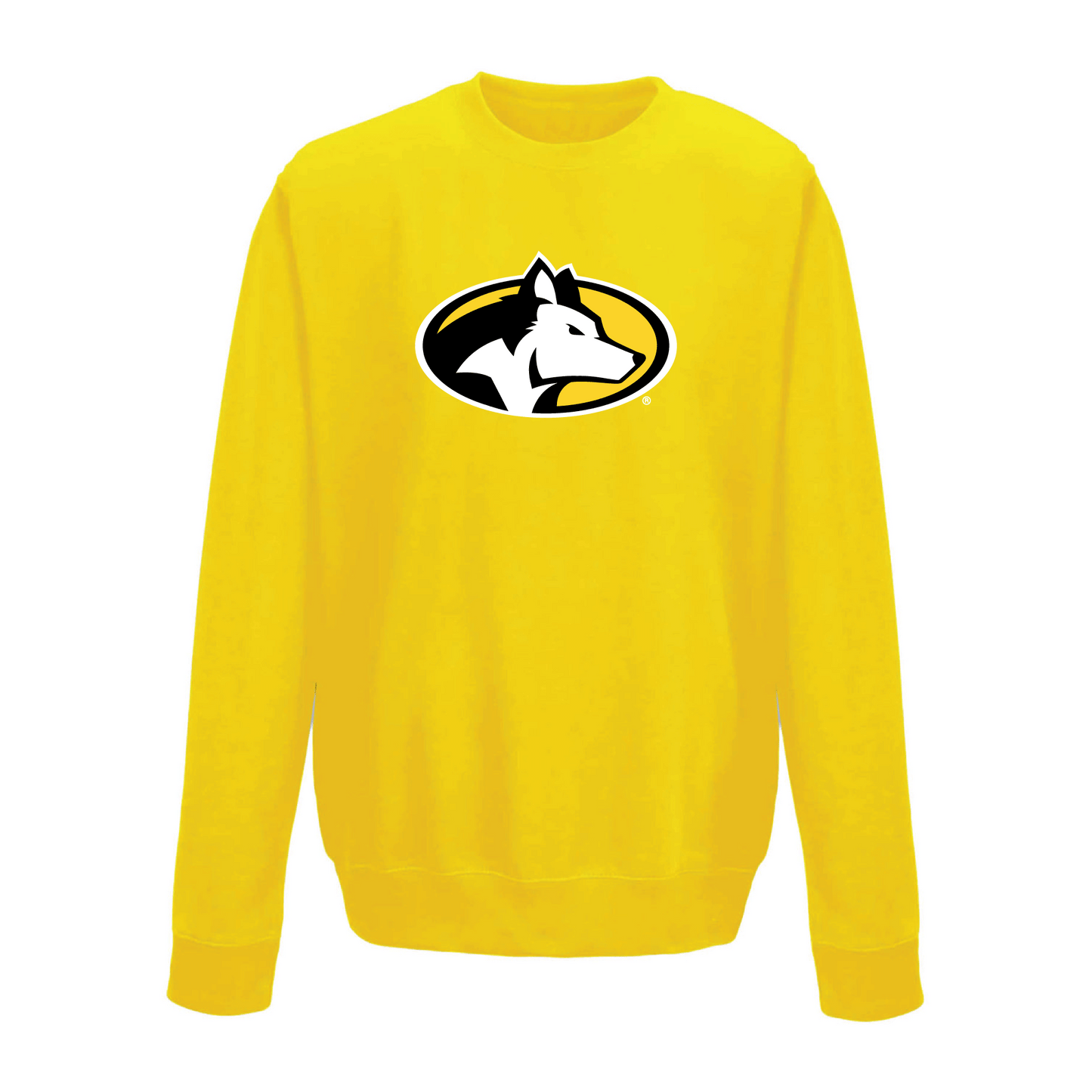 Michigan Technological University Huskies Large Logo