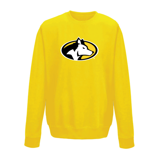 Michigan Technological University Huskies Large Logo